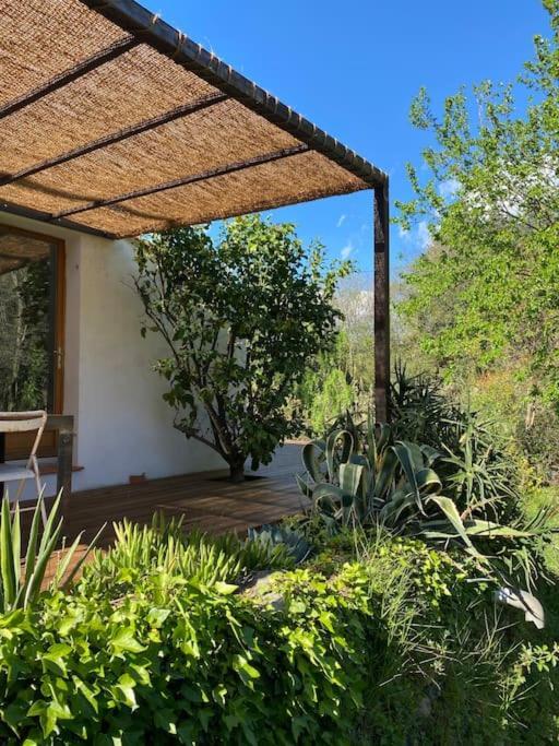 La Maison De Juliette Céret المظهر الخارجي الصورة