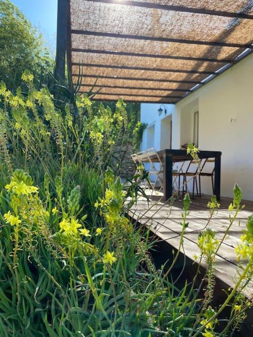 La Maison De Juliette Céret المظهر الخارجي الصورة